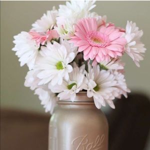 Meet your Posher, Cassidy